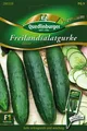 Produktbild: Freilandsalatgurke Gurke 