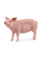 Produktbild: Schleich Pig