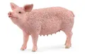 Produktbild: Schleich MAIALE-PIG 10,3 x 3,1 x 6 cm
