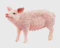 Produktbild: Schwein Schleich 13933 Tiere Farm World Spielfigur OVP