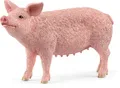 Produktbild: Schleich - Farm World - Schwein