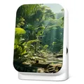 Produktbild: RELAXOUND ORIGINAL Junglebox - Dschungelsound - Naturgeräusche - Regenwald-Atmo Soundbox (Maliau, Design)