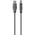 Produktbild: Belkin USB A - USB B (1.80 m, USB 2.0) (F3U154BT1.8M)