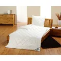 Produktbild: Frankenstolz »kbA Baumwolle« Bettdecken Vierjahreszeiten-Steppbett / 135x200 cm / 1000/650g