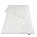 Produktbild: fan Vierjahreszeiten-Steppbett kbA Baumwolle Größe 155x220 cm