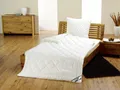Produktbild: fan Frankenstolz kbA Vierjahreszeiten-Steppbett 155x220cm