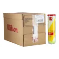 Produktbild: Wilson Tennisbälle Championship Extra Duty Dose 18x4er Karton