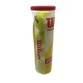 Produktbild: Wilson Tennisbälle Ballsport Tennis Championship 4er Pack Gelb langlebig robust