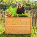 Produktbild: Westmann Holz Hochbeet, Kräuterbeet 