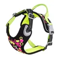 Produktbild: Hurtta Weekend Warrior Neon Hundegeschirr, Brustgeschirr für mittelgroße Hunde, Neon Lakritze, 45-60 cm