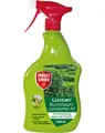 Produktbild: Protect Lizetan Buchsbaumzünzlerfrei AF 1l