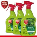 Produktbild: Protect Garden 3 x 1 l Lizetan® Buchsbaumzünslerfrei AF