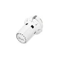 Produktbild: Danfoss Thermostat fester Fühler RAW-K 013G5130 Thermostatkopf