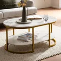 Produktbild: FineBuy Couchtisch 100x60x45 cm Weiß Marmor Optik Wohnzimmertisch Rechteckig Lounge Sofatisch Ablage Kaffeetisch Modern mit goldenem Metallgestell