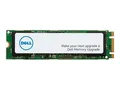 Produktbild: Dell SSD - 256 GB - intern - M.2 2280 - SATA