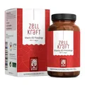 Produktbild: Vitamin B12 Vegan - 500 µg pro Tag - 270 Tabletten für 9 Monate - Beide aktive B12 Formen Adenosyl- & Methylcobalamin - Zellkraft B12 Komplex hochdosiert und laborgeprüft
