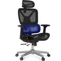 Produktbild: Ergonomischer Bürostuhl ErgoX C7B-Lite-V2 mit höhenverstellbarem Sitz - A