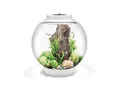 Produktbild: biOrb 72013 CLASSIC 60 LED, 60 L, weiß - Acryl-Aquarium in Kugelform, Komplett-Set mit patentiertem Filtersystem, LED-Beleuchtung