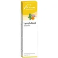 Produktbild: Lymphdiaral Ds Salbe