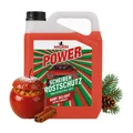 Produktbild: Scheibenfrostschutz NIGRIN Frostschutzmittel Bratapfel Ruby Delight -18°C 5l