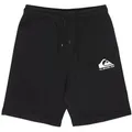 Produktbild: Bermudas QUIKSILVER 