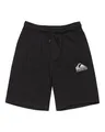 Produktbild: Quiksilver - Easy Day Jogger Short Hose mit elastischem Bund - Kind