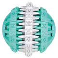 Produktbild: TRIXIE Denta Fun Ball - praktisches Hundespielzeug mit Minzgeschmack - ø 6 cm, Zahnpflege-Zubehör für Hunde - 32941