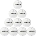 Produktbild: DERBYSTAR Brillant TT Classic 10er Ballpaket / Ballset Größe 5