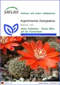 Produktbild: SAFLAX  - Argentinischer Zwergkaktus - Rebutia - 40 Samen