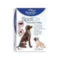 Produktbild: REDISAN Spot-on gegen Zecken+Flöhe f.Hunde 2-20 kg 5X2.5 ML