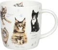 Produktbild: KÖNITZ 1172752866 Becher Natures Diversity - KATZEN 400 ml aus Bone China Por...