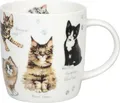 Produktbild: Könitz Tasse Natures Diversity Katzen Form: Franz 0,35 L Porzellan