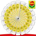 Produktbild: COMPO 20 x 30 ml Zitruspflanzen-Aufbaukur