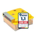 Produktbild: Melko Inkubator Vollautomatisch 48 Eier Brutkasten Brutmaschine Geflügel Motorbrüter Brutautomat Hühner