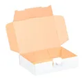 Produktbild: Maxibriefkartons 180 x 130 x 45 mm WEIß Maxibrief Karton Faltschachtel stabil Versandkarton für Post DHL Versand DIN A6 B6 Warensendung Büchersendung Versandschachtel mit Steckverschluss (25)