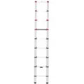 Produktbild: HAILO  FlexLine Teleskopleiter 