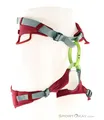 Produktbild: Edelrid Jayne IV Damen Klettergurt-Dunkel-Rot-L