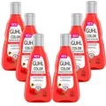 Produktbild: 6x 250ml Guhl Color Schutz & Pflege Shampoo roter Mohn Haarpflege getöntes Haar