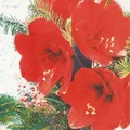 Produktbild: Home Fashion, Red Amaryllis, Lunch-Servietten aufgefaltetes Maß 33 cm x 33 cm, im Viertelfalz, 20 Stück pro Pack