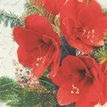 Produktbild: 20 Servietten Rote AmaryllisBlüten | Blumen | Winter | Weihnachten | Tischdeko | Decoupage | Serviettentechnik 33x33cm
