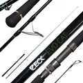 Produktbild: ZECK - Spinnrute für Welsangeler - Evo Cat Spin 260 | 120