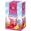 Produktbild: TEEKANNE Frio Koffeinfrei Tee Himbeere, Zitrone 18 Stück à 2.5 g