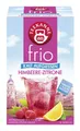 Produktbild: TEEKANNE Wasserbar Teekanne 6939 frio® Himbeer-Zitrone - 18 Beutel