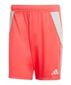 Produktbild: adidas Performance Tiro 24 Short rot, S Herren