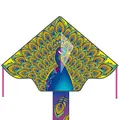 Produktbild: HQ Design Ecoline Simple Flyer 120 Kinderdrachen Flugdrachen Drachen zum steigen Lassen wenig Wind ab 5 Jahre 75x120cm+1.5m Drachenschwanz 17kp Polyesterschnur 25m auf Griff 2-5 Bft (Peacock)