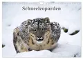 Produktbild: Schneeleoparden (Wandkalender 2026 DIN A4 quer), CALVENDO Monatskalender: Wundervolle Fotografien vom Schneeleoparden. (CALVENDO Tiere)