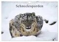 Produktbild: Cloudtail Cloudtail | Schneeleoparden (Wandkalender 2026 DIN A4 quer),...