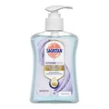 Produktbild: SAGROTAN Arztseife zur Handhygiene flüssig 250 ml