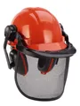 Produktbild: Einhell BG-SH 1 Forestry helmet