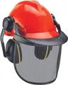 Produktbild: Original Einhell Forstschutzhelm (optimaler Schutz für die Arbeit mit Kettensägen, Gehörschutz, Gesichtsschutz, für 52-66 cm Kopfumfang)